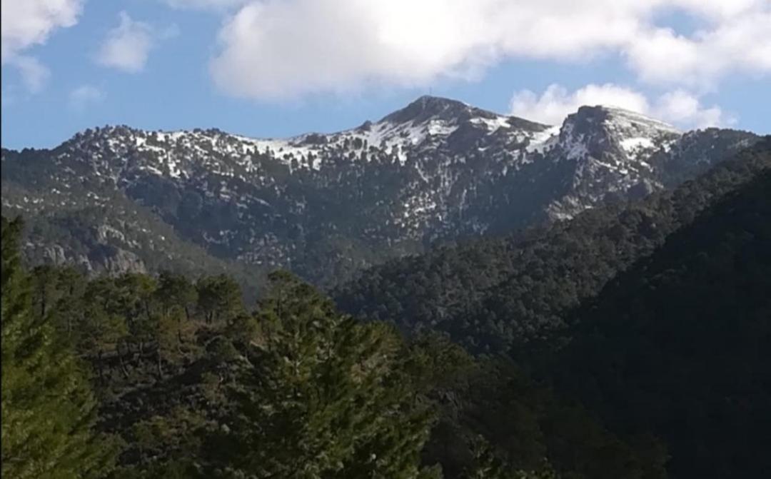 Casa Rural La Piedra Del Cambron Villaverde De Guadalimar Zewnętrze zdjęcie