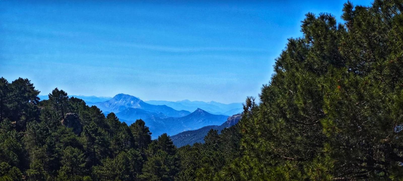Casa Rural La Piedra Del Cambron Villaverde De Guadalimar Zewnętrze zdjęcie